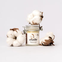 LP NIGELLE 2